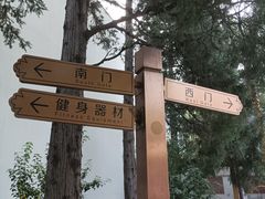 -团结湖公园