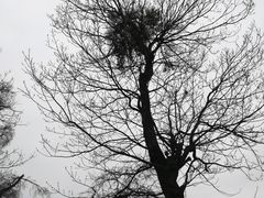 -金堂县云顶石城风景区