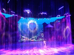 -芜湖新华联大白鲸海洋公园