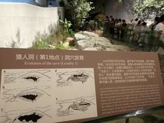 -北京周口店北京人遗址博物馆