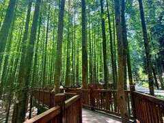 -山王坪喀斯特国家生态公园