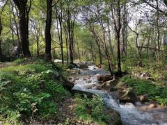 -玉渡山自然风景区
