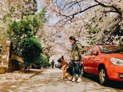 -小叮当动物医院·骨科·眼科