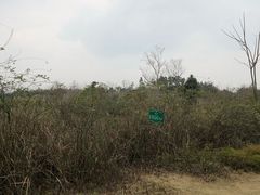 -白鹭湾湿地公园