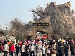 -大槐树寻根祭祖园