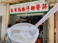 -洪馨椰子