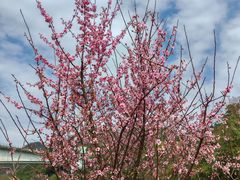 -贵阳市花溪国家城市湿地公园