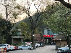 -桃花岭景区