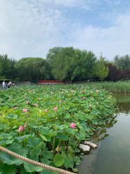 -大望京儿童游乐场