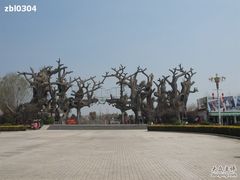 -禹州森林植物园
