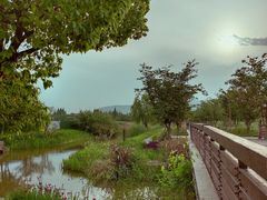 -长田漾湿地公园