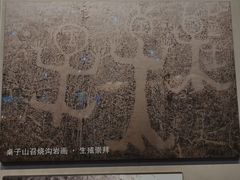 -包头博物馆