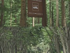 -日照海滨国家森林公园