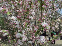 -元大都城垣遗址公园