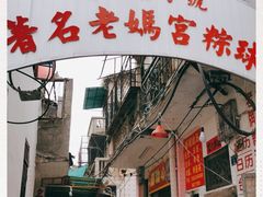 -老妈宫粽球