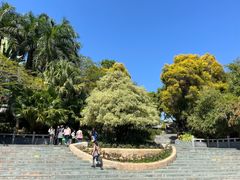 -深圳国际园林花卉博览园