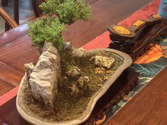 -苏面斋·本地传统苏式面馆