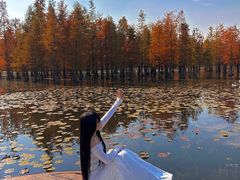 -白鹭湾湿地公园