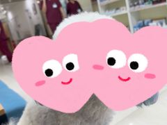 -美联众合动物医院·24h京西诊疗中心