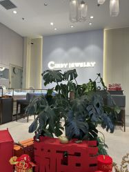 点击看大图 -Cindy Jewelry·钻戒·彩色宝石