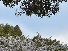 -东南大学(九龙湖校区)