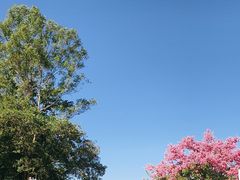 -风云岭森林公园