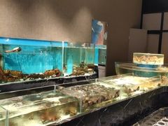 -许家菜.艺创菜(仁和新城店)