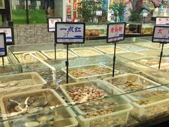 -森谷美食公园(杨行店)