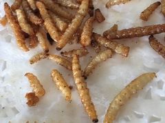 -天强农家菜馆