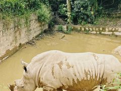 -泉州海丝野生动物世界
