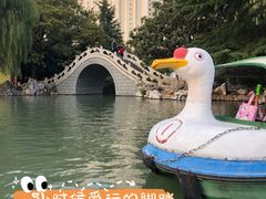 -西苑公园