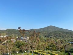 -石塘人家