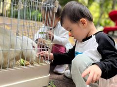 -金点蒙氏国际教育(悠然校区)