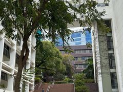 -香港大学