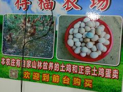 -得福农庄