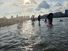 -天鹅湖体育公园