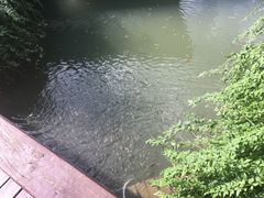 -咸宁万豪温泉谷度假区