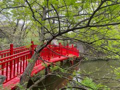 -扬州市茱萸湾风景区