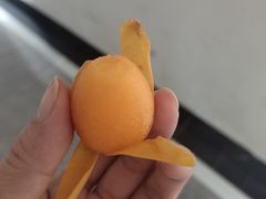 -郴州特产舜华临武鸭(郴州西站店)