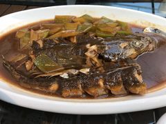 -福来齐·鲁菜海鲜·渔家菜(朝阳街分店)