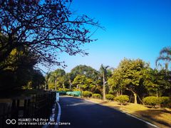 -福建鲤鱼洲酒店