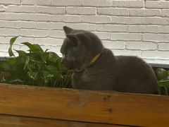 -么么咖啡(燕郊店)