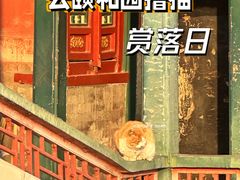-颐和园