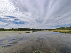 -御道口草原森林风景区