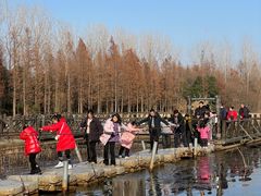 -溱湖国家湿地公园