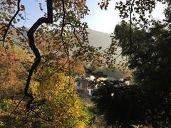 -塔川景区
