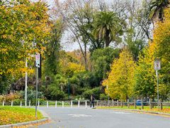-墨尔本皇家植物园