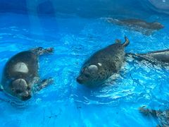 -泉城欧乐堡海洋极地世界