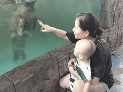 -嘉兴海底世界