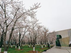 -龙美术馆(西岸馆)